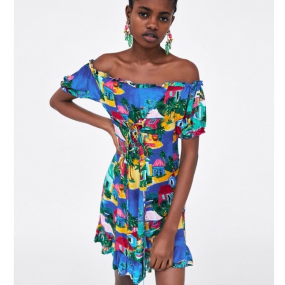Zara Collection Landscape Print Dress